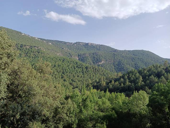 Casa rural para 4 personas, con vistas y balcón en Sierra de Alcaraz - 2