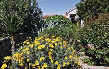 Glamping per 5 Persone in Drvenik Mali und Veli, Dalmazia, Foto 4