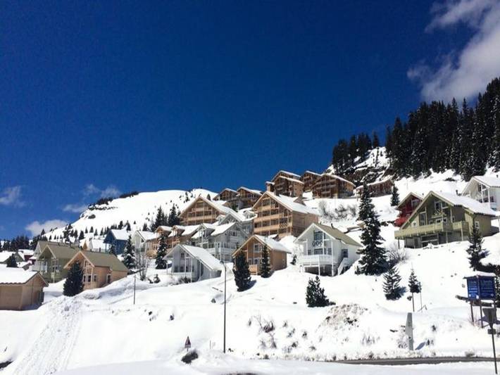 Chalet pour 12 personnes, avec balcon, animaux acceptés dans Les Carroz