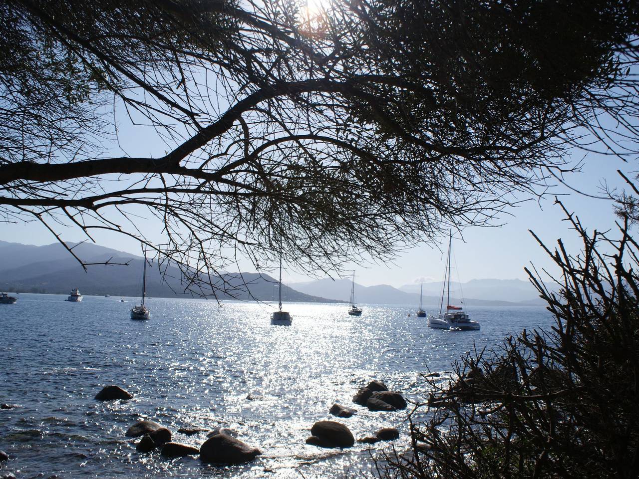 Apartamento entero, Villa Casa Nera in Porto Pollo (Córcega), Serra-di-Ferro