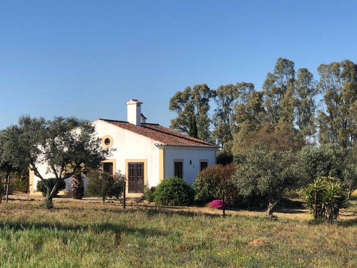 Location de vacances pour 4 personnes, avec piscine et jardin dans Ourique - 4