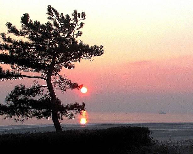 Ferienwohnung für 4 Personen, mit Balkon/Terrasse und Seeblick sowie Balkon, mit Haustier auf Amrum - 3
