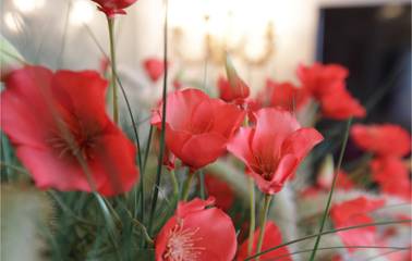 Appartement voor 2 Personen in Stad Oostende, Oostende, Afbeelding 2