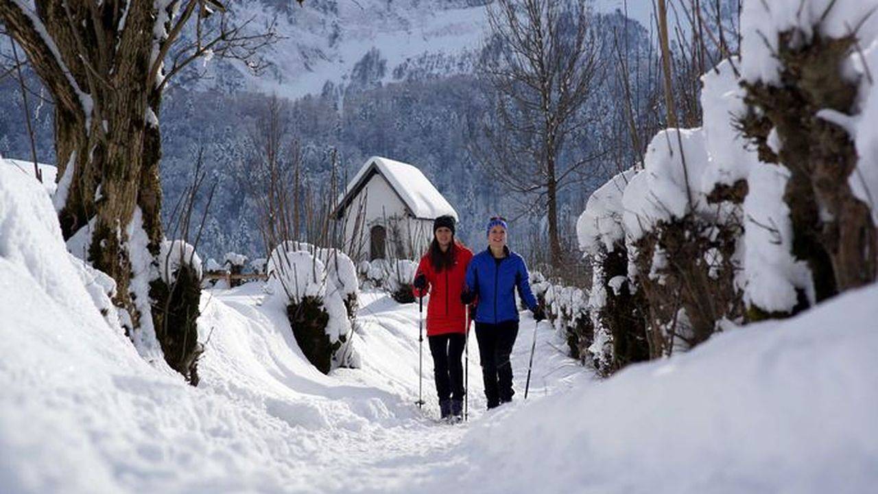 Ganze Ferienwohnung, Ferienwohnung für 7 Personen (110 m²) in Bezau in Bezau, Bregenzerwald