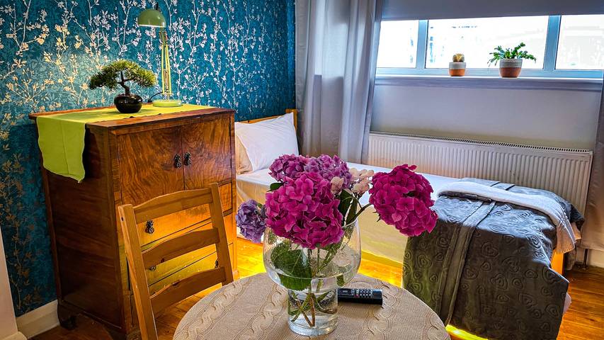 Studio for 3 personer, med Have i Sydengland