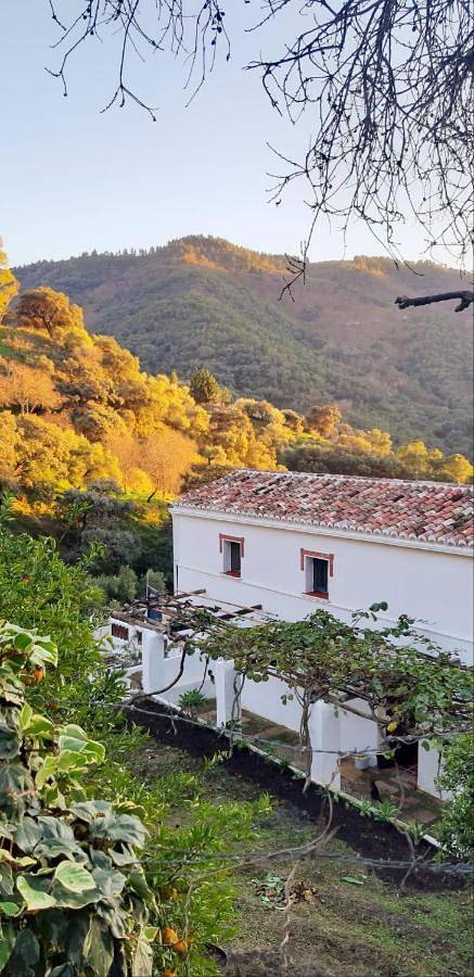 Finca Riolavar in Jubrique, Provincia de Málaga