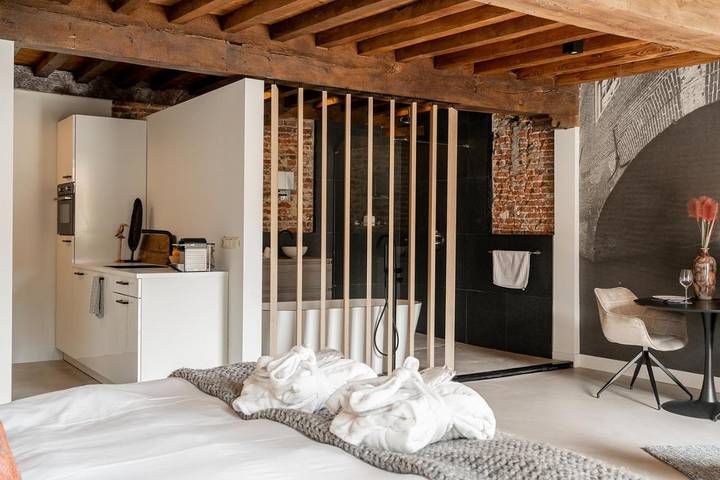 Hôtel pour 3 personnes, avec terrasse et vue à Bois Le Duc - 3