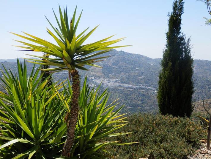 Chambre d’hôte pour 2 personnes, avec piscine et jardin ainsi que terrasse et vue à Arenas - 3