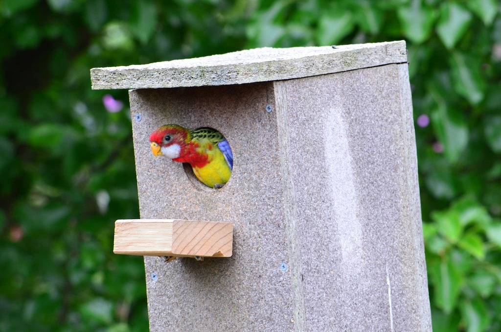 Das Pickled Pipi Strandhaus in Gippslands Venus Bay in Venus Bay, Shire of South Gippsland