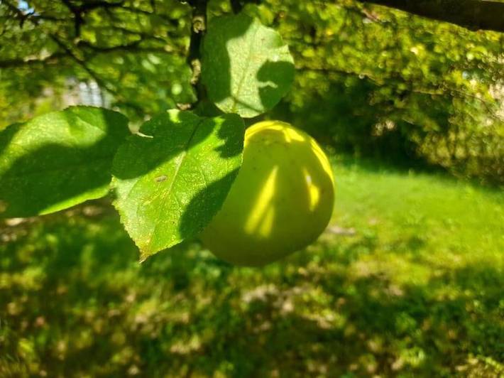 Location de vacances pour 8 personnes, avec terrasse à Montfermeil - 3