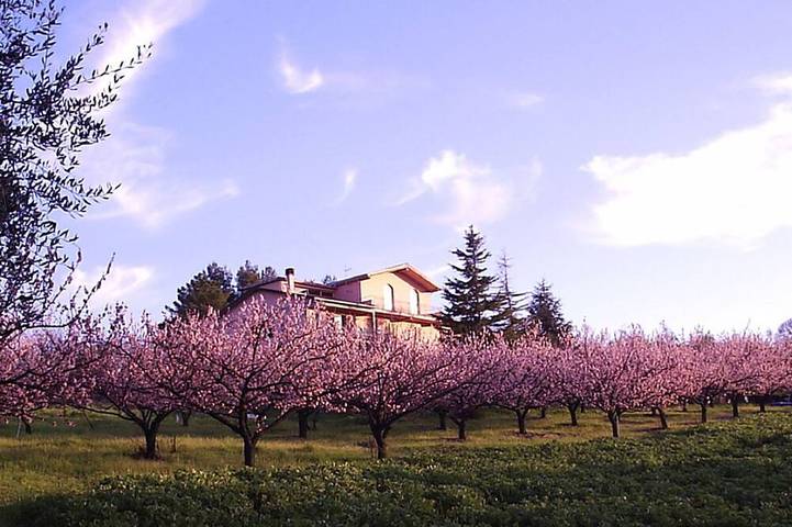 Appartamento intero, Tramonto apartment, Charming Farmhouse Private Pool and Private Outside Area in Terricciola, Pisa e dintorni