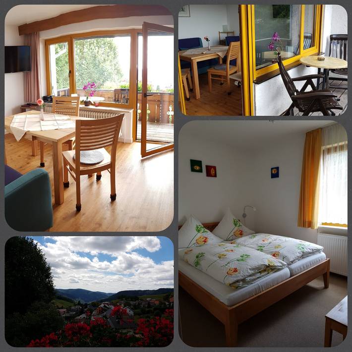 Gîte pour 2 personnes, avec jardin à Todtnau - 2
