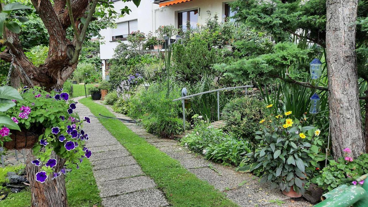 Ganze Wohnung, Am Teich in Kamp-Bornhofen, Mittelrhein