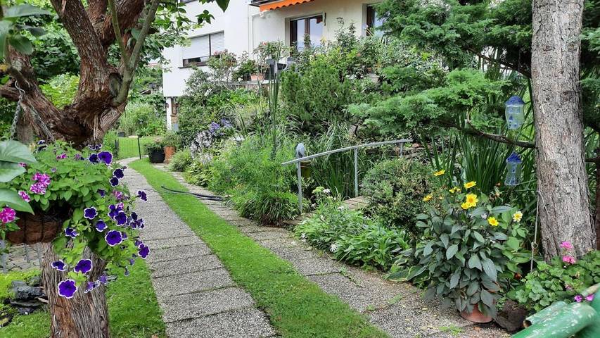 Ferienwohnung für 6 Personen, mit Balkon und Terrasse sowie Garten und Ausblick in Kamp-Bornhofen - 3