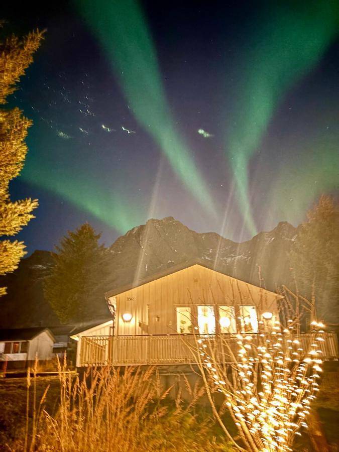 Location de vacances pour 4 personnes, avec jardin et vue dans Berg (Norvège) - 3