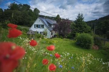 Ferienhaus für 7 Personen, mit Garten, kinderfreundlich in Bad Berleburg
