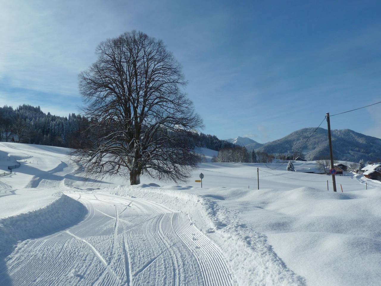 Ganze Ferienwohnung, Gästehaus Sonneneck - Ferienwohnung Panorama in Bad Kohlgrub, Bayerische Alpen