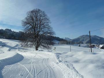 Ferienwohnung für 4 Personen in Bad Kohlgrub, Bayerische Alpen, Bild 3