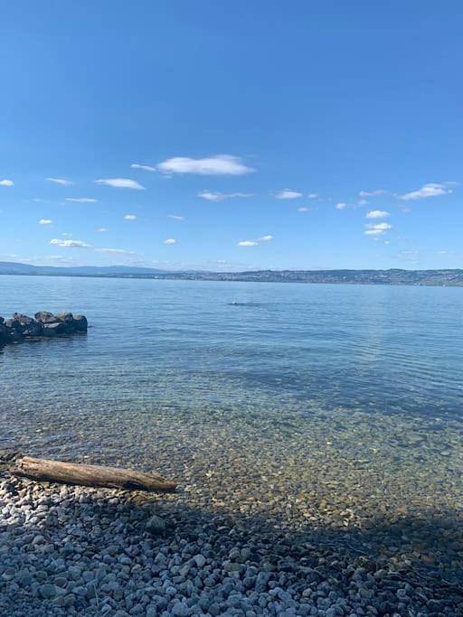 Gîte pour 4 personnes, avec balcon à Thollon-les-Mémises - 3