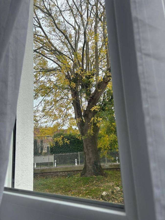 La maison Destiné - 8 personnes in Bonneuil-Matours, Vienne (France)