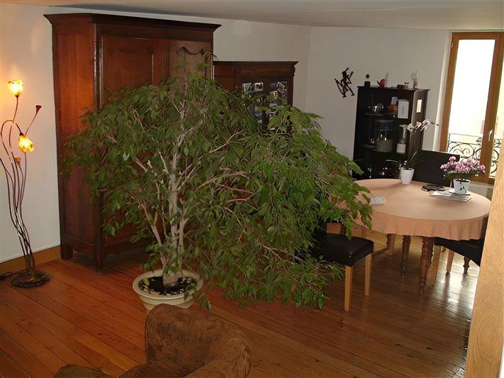 Chambre d’hôte pour 4 personnes à Bourges - 4