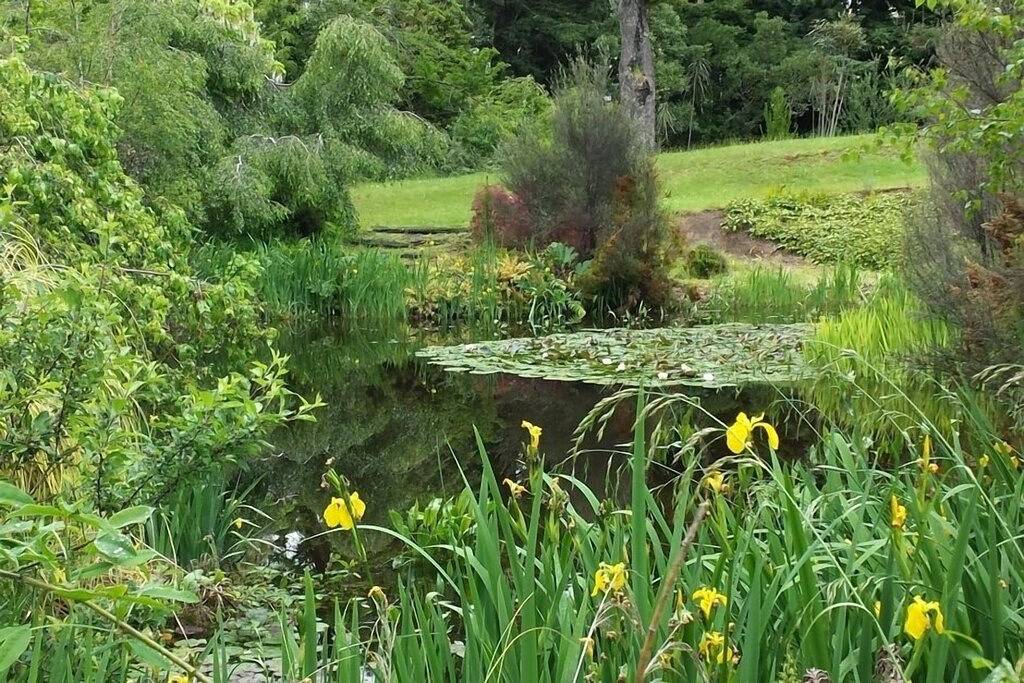 Beech _Tree _Lodge- Bestpreis !! Schlafen 16 Jetzt Buchen für Tongariro Crossing in Ohakune, Ruapehu District
