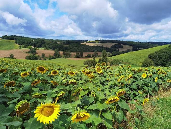 Chambre d’hôte pour 5 personnes, avec jardin et piscine dans Occitanie - 3