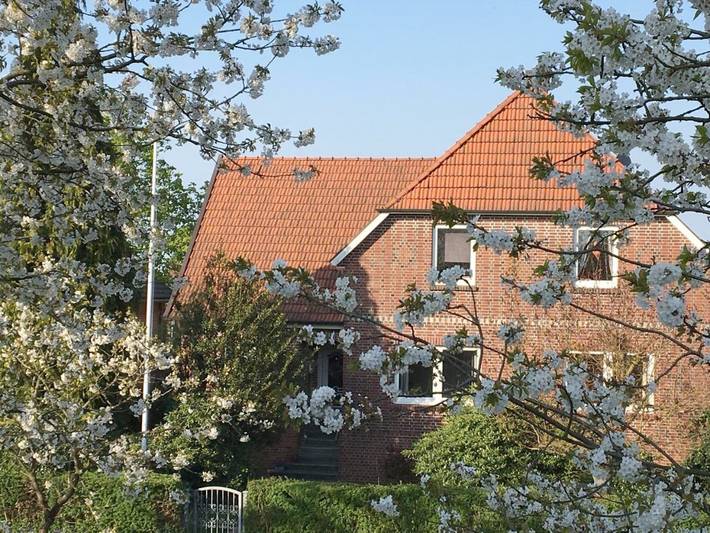 Ferienwohnung für 3 Personen, mit Terrasse in Grünendeich - 2