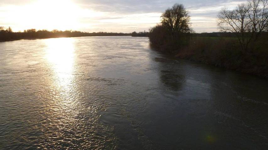 Chambre d’hôte pour 3 personnes à Rochefort-sur-Loire - 4