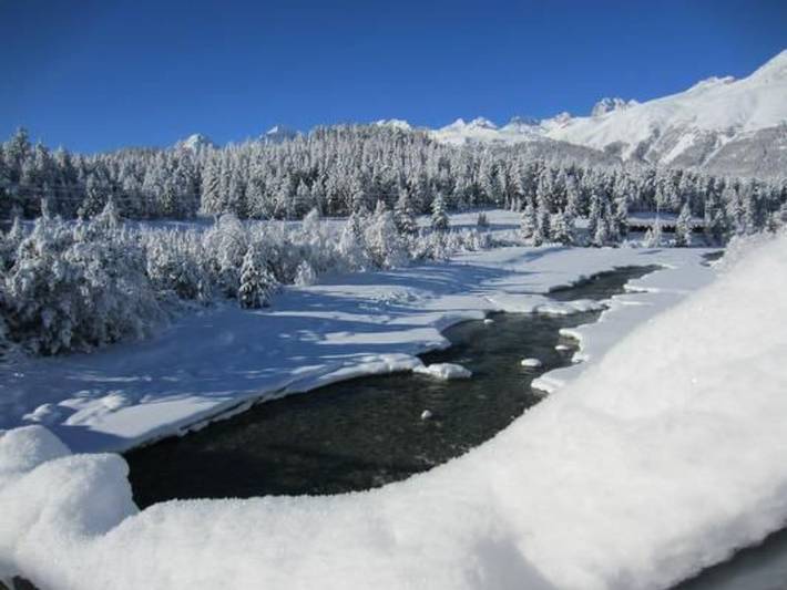 Ferienwohnung für 3 Personen, mit Garten in Pontresina - 2
