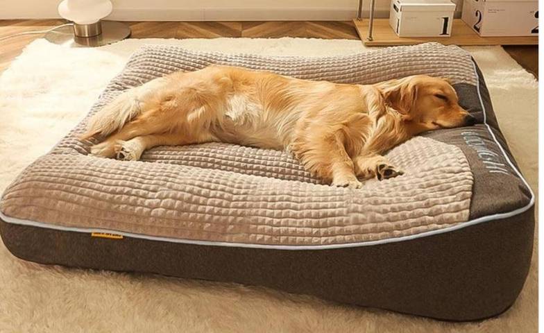 Hôtel pour 2 personnes, avec vue et terrasse, animaux acceptés à Torla - 2