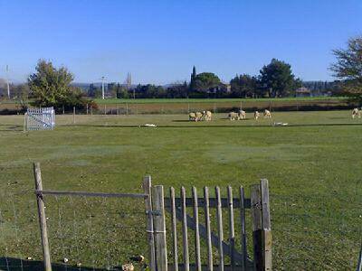 Maison d’hôte pour 2 personnes, avec balcon et vue à Aix-en-Provence - 4