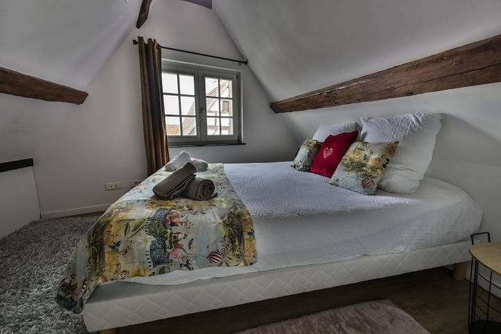 Gîte-Place Jeanne d'Arc-Ensuite-Stadtblick in Colmar, Colmar und Umgebung