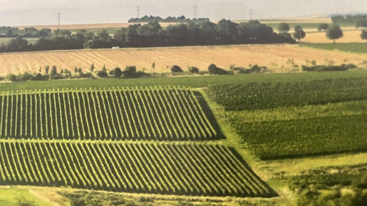 Apartamento vacacional entero, Ferienwohnung für 4 Personen (85 m²) in Ober-Flörsheim in Ober-Flörsheim, Kurpfalz