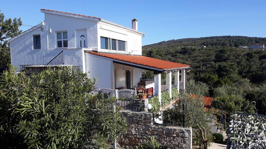 Ganze Wohnung, Studio Appartement mit Terrasse Necujam, Solta As-18993-a in Necujam, Solta