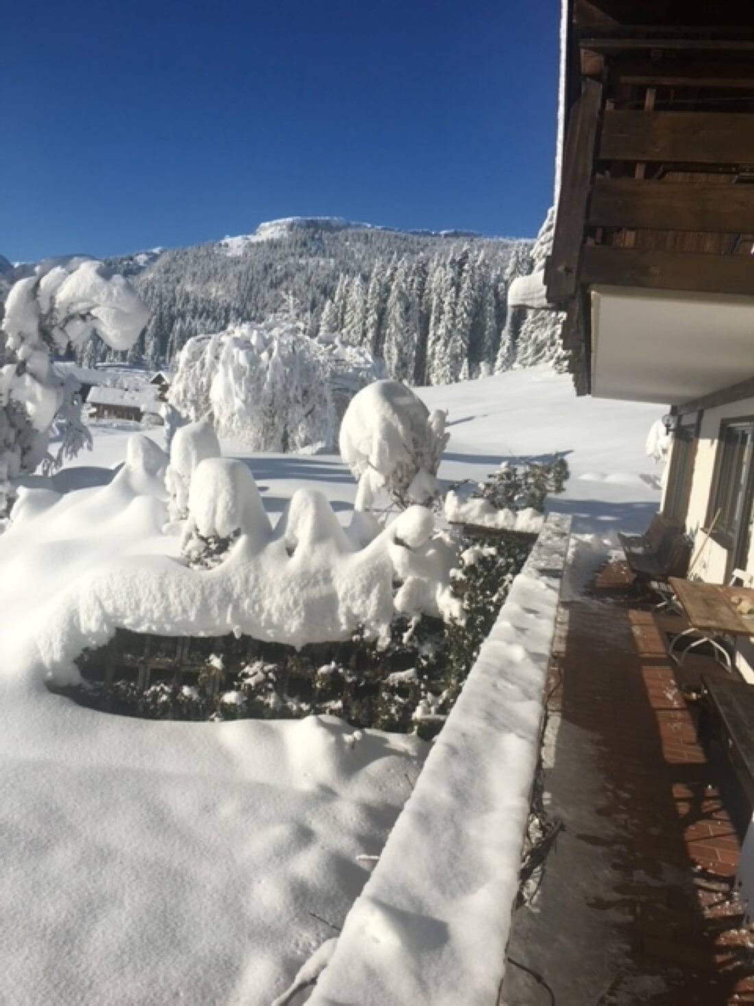 Ganze Wohnung, Gruppenferienwohnung am Auweg mit Bergblick, Garten und Wlan in Hirschegg Kleinwalsertal, Mittelberg