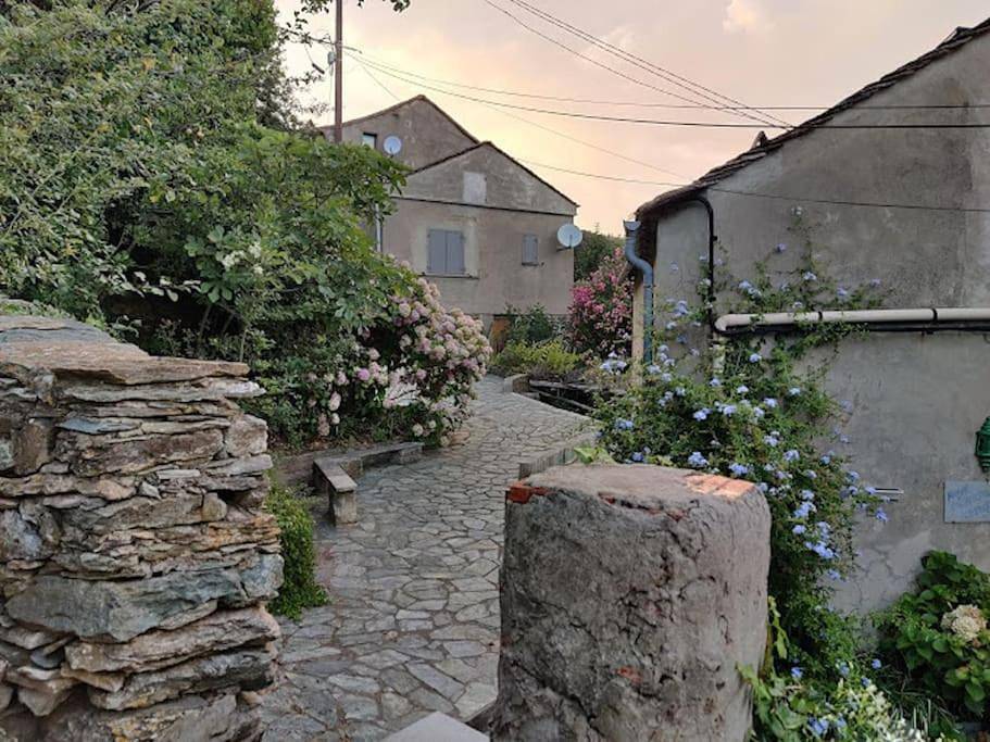 Maison Simonpietri in Cagnano, Cap Corse