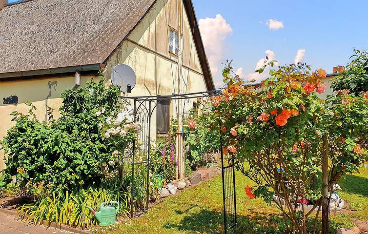 Bauernhof für 4 Personen, mit Terrasse, kinderfreundlich auf Usedom - 3