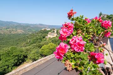 Chambre D’hôte pour 4 Personnes dans Poggio-d'Oletta, Région de Calvi, Photo 4