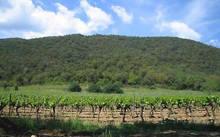 Location de vacances pour 4 personnes, avec jardin et terrasse à La Môle