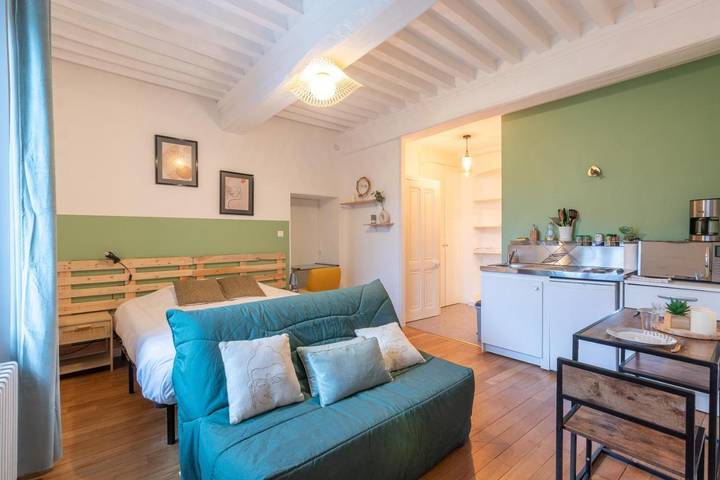 Gîte pour 3 personnes, avec terrasse et jardin, animaux acceptés dans Abbaye Benedictine De Cluny - 4