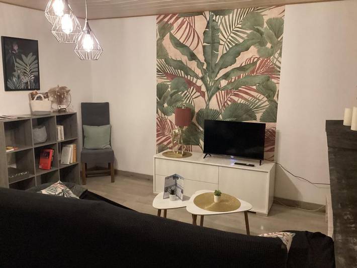 Location de vacances pour 4 personnes, avec jardin et vue dans Brienne-le-Château - 3