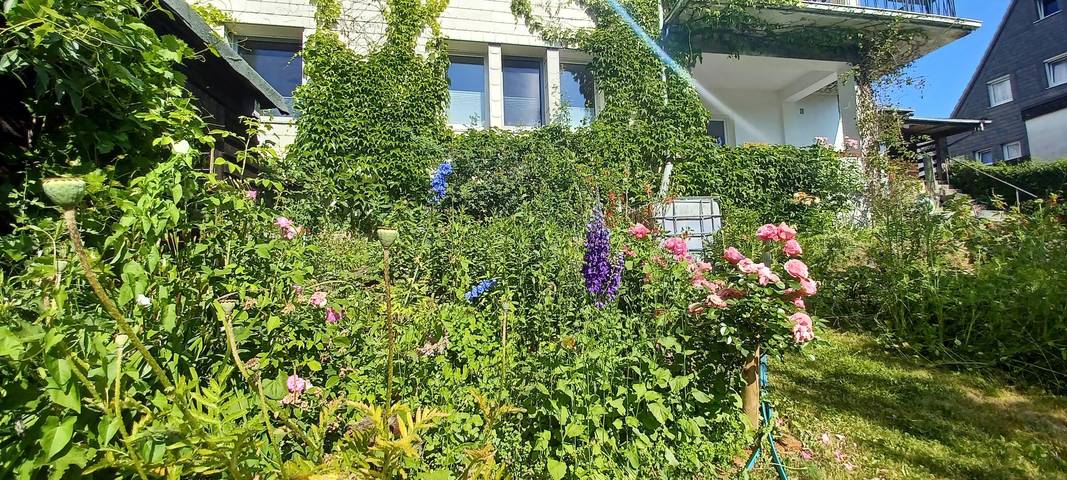 Ferienhaus für 2 Personen, mit Balkon und Balkon/Terrasse in Bad Berleburg - 3