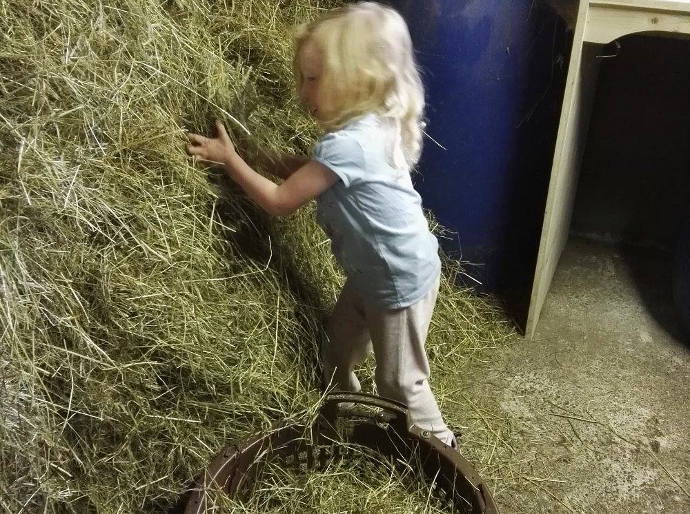Ganze Ferienwohnung, Konradenhäusle in Titisee-Neustadt, Südschwarzwald