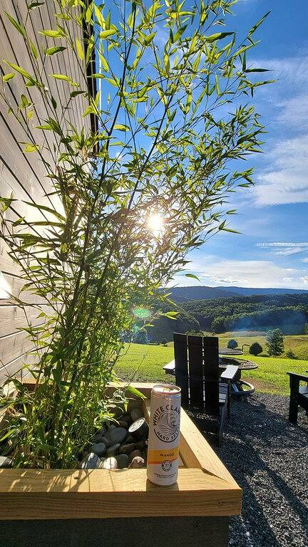 Tiny Escape w/ dry sauna & mountain views in Seneca Rocks