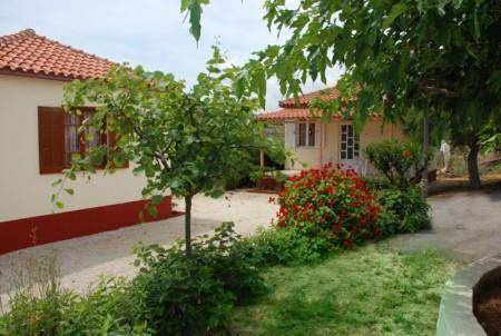 Ολόκληρο το διαμέρισμα, Beach Bungalows in Δροσιά (Ζάκυνθος), Κυψέλη