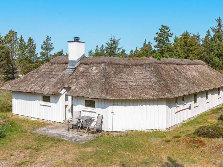 Ferienhaus für 8 Personen, mit Terrasse und Pool in Jammerbugt