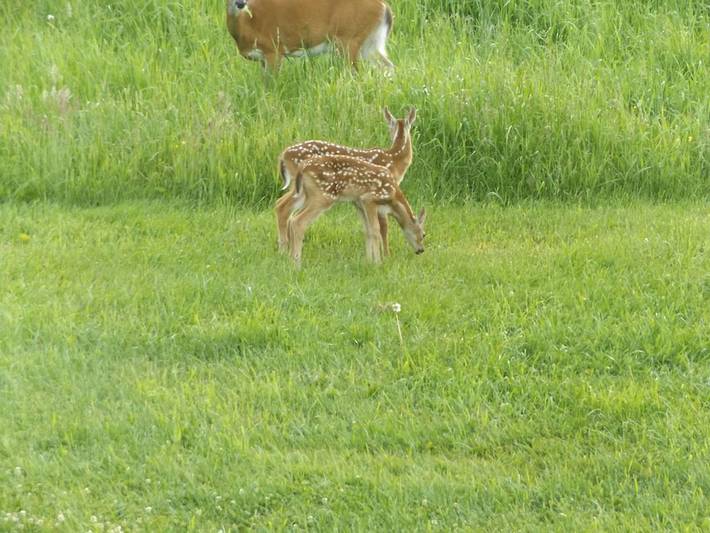 Gîte pour 2 personnes dans États-Unis - 2