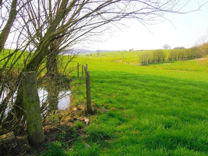 Hôtel pour 2 personnes, avec jacuzzi ainsi que jardin et sauna dans Teuven - 3