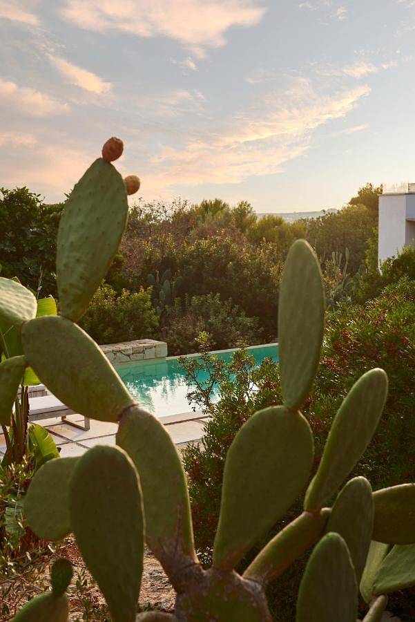 Villa pour 10 personnes, avec jardin ainsi que piscine et vue dans Santa Maria di Leuca - 3
